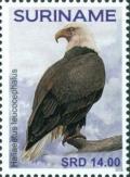 Colnect-5332-055-Haliaeetus-leucocephalus.jpg