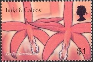 Colnect-2590-207-Laelia-cinnabanna.jpg