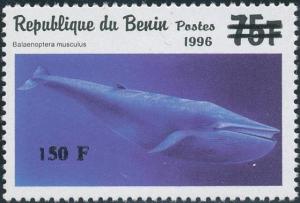Colnect-3996-761-Belaenoptera-Musculus.jpg