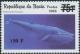 Colnect-3996-761-Belaenoptera-Musculus.jpg