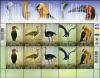 Colnect-1389-711-South-African-Big-5-of-Birds.jpg