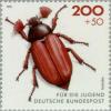 Colnect-153-926-Common-Cockchafer-Melolontha-melolontha-.jpg