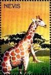 Colnect-3544-791-Giraffa-camelopardalis.jpg