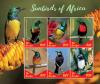 Colnect-5621-893-African-Sunbirds.jpg