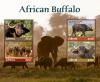 Colnect-5758-251-African-Buffalo.jpg