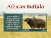Colnect-5758-257-African-Buffalo.jpg