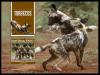 Colnect-6036-125-African-Wild-Dog.jpg