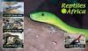 Colnect-6224-704-African-Reptiles.jpg