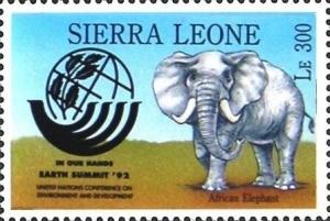 Colnect-5545-696-African-Elephant.jpg