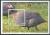Colnect-6224-199-Helmeted-Guineafowl-Numida-meleagris-Nkhanga.jpg