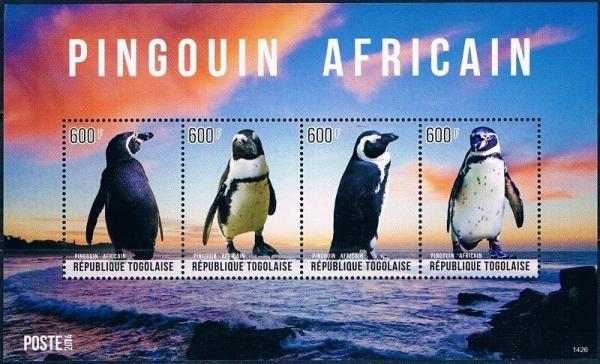 Colnect-6093-188-African-Penguins.jpg