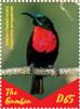 Colnect-5621-896-African-Sunbirds.jpg