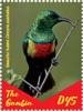 Colnect-5621-894-African-Sunbirds.jpg
