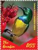 Colnect-5621-895-African-Sunbirds.jpg