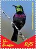 Colnect-5621-898-African-Sunbirds.jpg