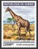 Colnect-5970-264-Northern-Giraffe-Giraffa-camelopardalis.jpg