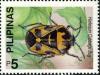 Colnect-2325-308-Harlequin-Cabbage-Bug-Murgantia-histrionica.jpg