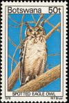 Colnect-597-731-Spotted-Eagle-Owl-Bubo-africanus.jpg