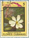 Colnect-674-911-Magnolia-cubensis.jpg