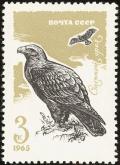 Colnect-729-141-Steppe-Eagle-Aquila-nipalensis.jpg