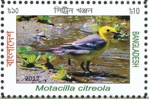Colnect-1674-512-Citrine-Wagtail-Motacilla-citreola.jpg