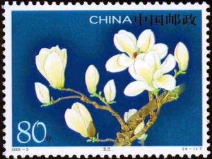 Colnect-1877-520-Magnolia-dennudata.jpg