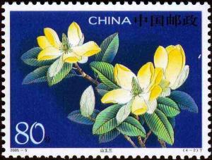Colnect-1877-521-Magnolia-delavayi.jpg