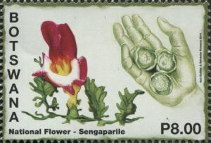 Colnect-3544-179-Harpagophytum-procumbens.jpg