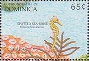 Colnect-2298-754-Spotted-Seahorse-Hippocampus-erectus.jpg