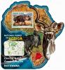 Colnect-5649-540-Central-Kalahari-Game-Reserve-Botswana.jpg