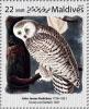 Colnect-6240-072--Snowy-Owl--detail-1831-by-John-James-Audubon.jpg