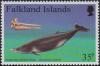 Colnect-3909-654-Strap-toothed-Beaked-Whale-Mesoplodon-layardii-.jpg
