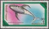 Colnect-1485-842-Humpback-Whale-Megaptera-novaeangliae.jpg