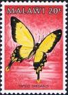 Colnect-2233-287-African-Swallowtail-Papilio-dardanus.jpg