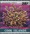 Colnect-2248-874-Finger-Coral-Palauastrea-ramosa---Surcharged.jpg