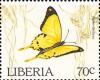 Colnect-2288-655-African-Swallowtail-Papilio-dardanus.jpg