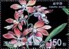 Colnect-2413-982-Calanthe-discolor.jpg