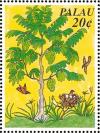Colnect-2425-180-Mannikin-Lonchura-malacca-Soursop-Tree-Annona-muricata.jpg