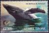 Colnect-2579-601-Humpback-Whale-Megaptera-novaeangliae.jpg