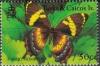 Colnect-2609-977-Homerus-Swallowtail-Papilio-homerus.jpg