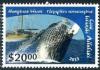Colnect-3140-271-Humpback-whale-Megaptera-novaeangliae.jpg