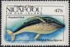 Colnect-4777-209-Humpback-Whale-Megaptera-novaeangliae.jpg
