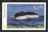 Colnect-4827-753-Humpback-Whale-Megaptera-novaeangliae.jpg