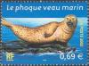Colnect-551-281-Spotted-Seal-Phoca-vitulina-largha-.jpg