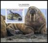 Colnect-7220-444-Weddell-Seal-Leptonychotes-weddellii.jpg