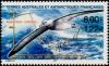 Colnect-887-020-Short-tailed-Albatross-Diomedea-albatrus.jpg
