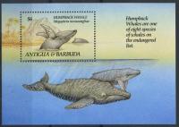 Colnect-1833-957-Humpback-Whale-Megaptera-novaeangliae.jpg