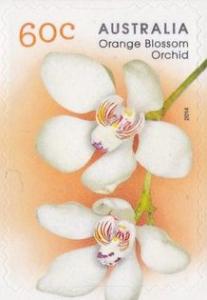 Colnect-2657-486-Sarcochilus-falcatus-Orange-blossom-Orchid.jpg