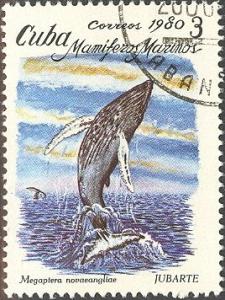 Colnect-660-318-Humpback-Whale-Megaptera-novaeangliae.jpg