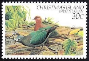 Colnect-1437-175-Common-Emerald-Dove-Chalcophaps-indica.jpg